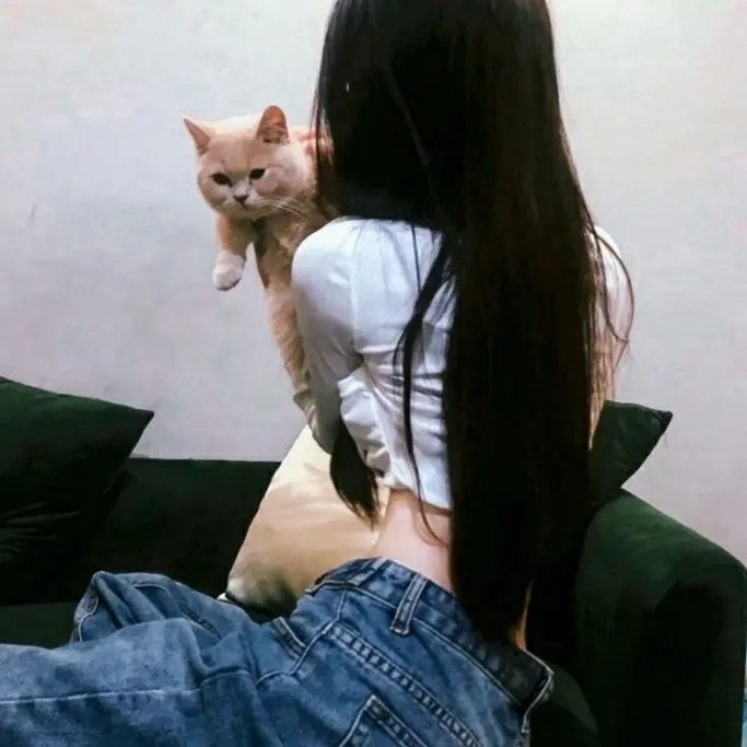 高达自画像